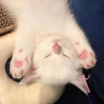 Sara Duterte's avatar